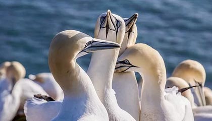 傅亚雨：从谷底向上攀爬的新中超