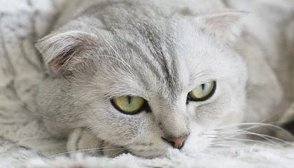 yl23455永利官方网站——开启极致娱乐新体验