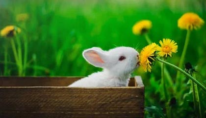 开云体育在线-都是中国足协官员，刘奕陈永亮为何官方定性不同？